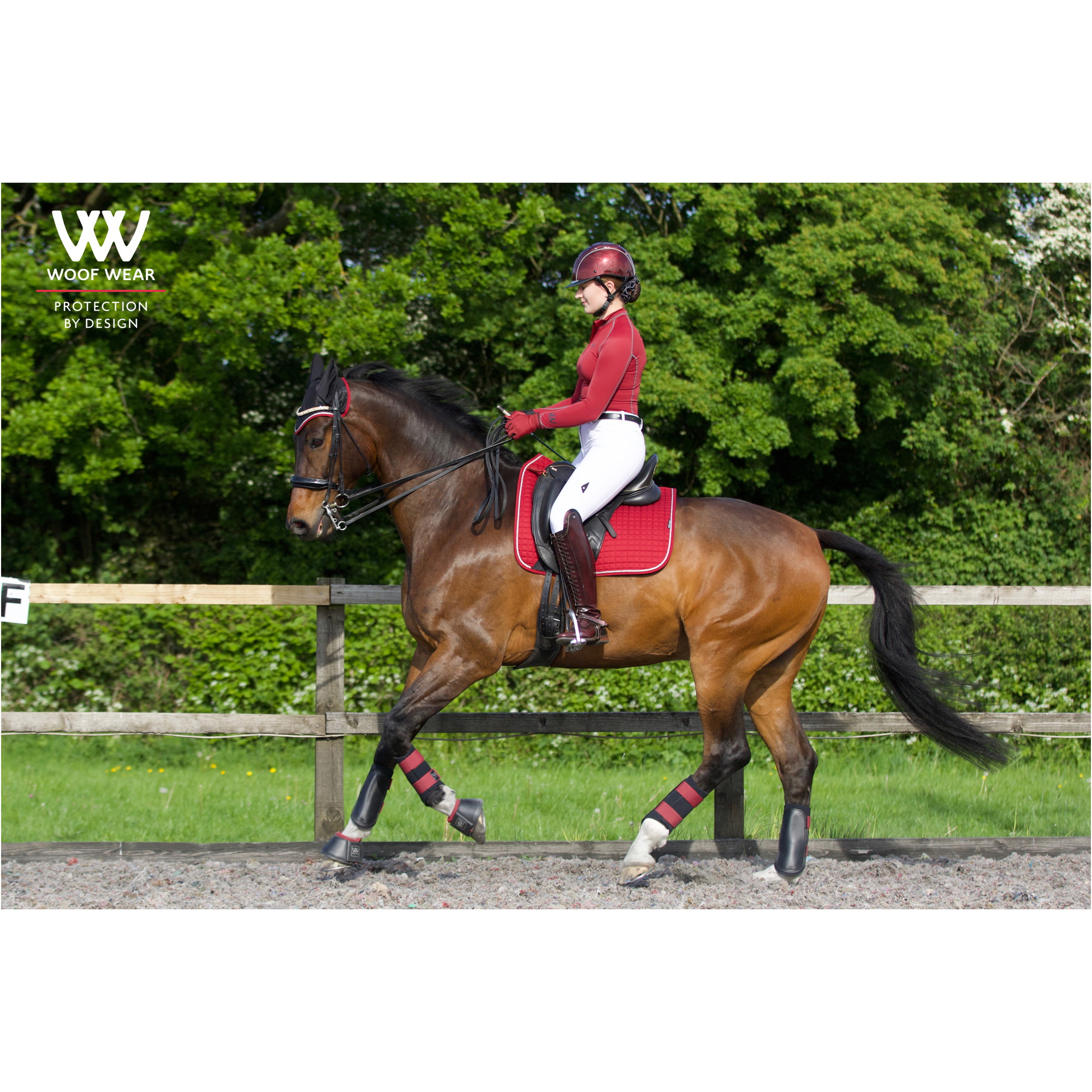 Woof Wear Damen Performance Reithemd - Shiraz